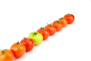 O que é a Dieta Paleolítica e como ela pode transformar sua vida